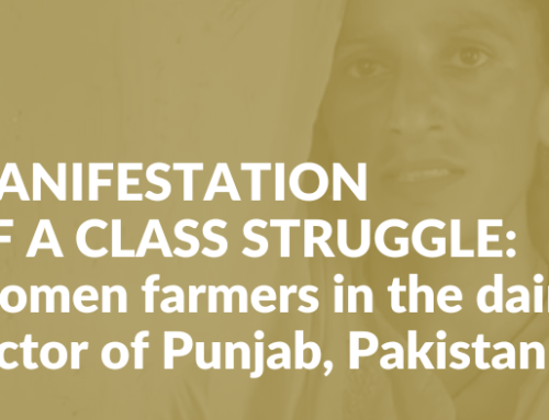 Manifestation of a class struggle: Women farmers in the dairy sector of Punjab, Pakistan