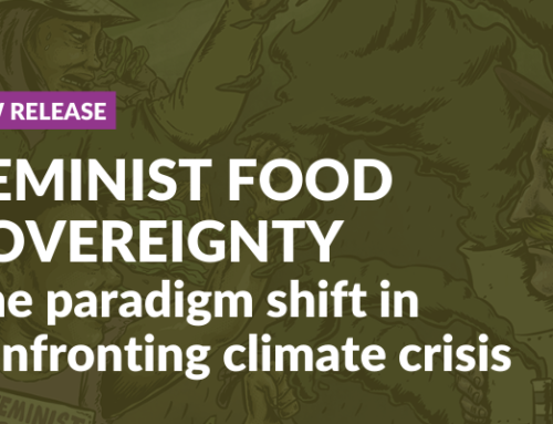 Feminist Food Sovereignty – The paradigm shift in confronting climate crisis