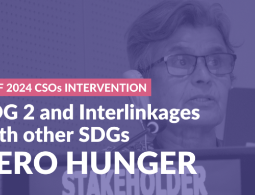 HLPF 2024 CSO Intervention:  SDG 2 and interlinkages with other SDGs – Zero Hunger