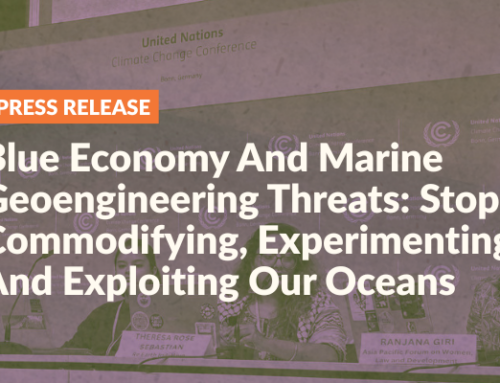Blue Economy And Marine Geoengineering Threats: Stop Commodifying, Experimenting And Exploiting Our Oceans
